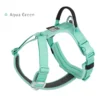 Aquatic green