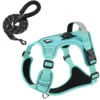 mint green set