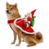 Red Santa
