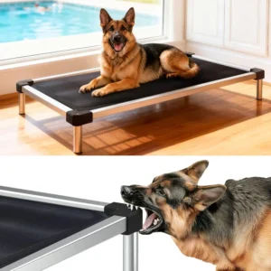 TitanNest Chew-Proof Elevated Dog Bed, Raised Cot for Indoor/Outdoor/Camping Use, Durable & Waterproof Cooling Pet Bed for L